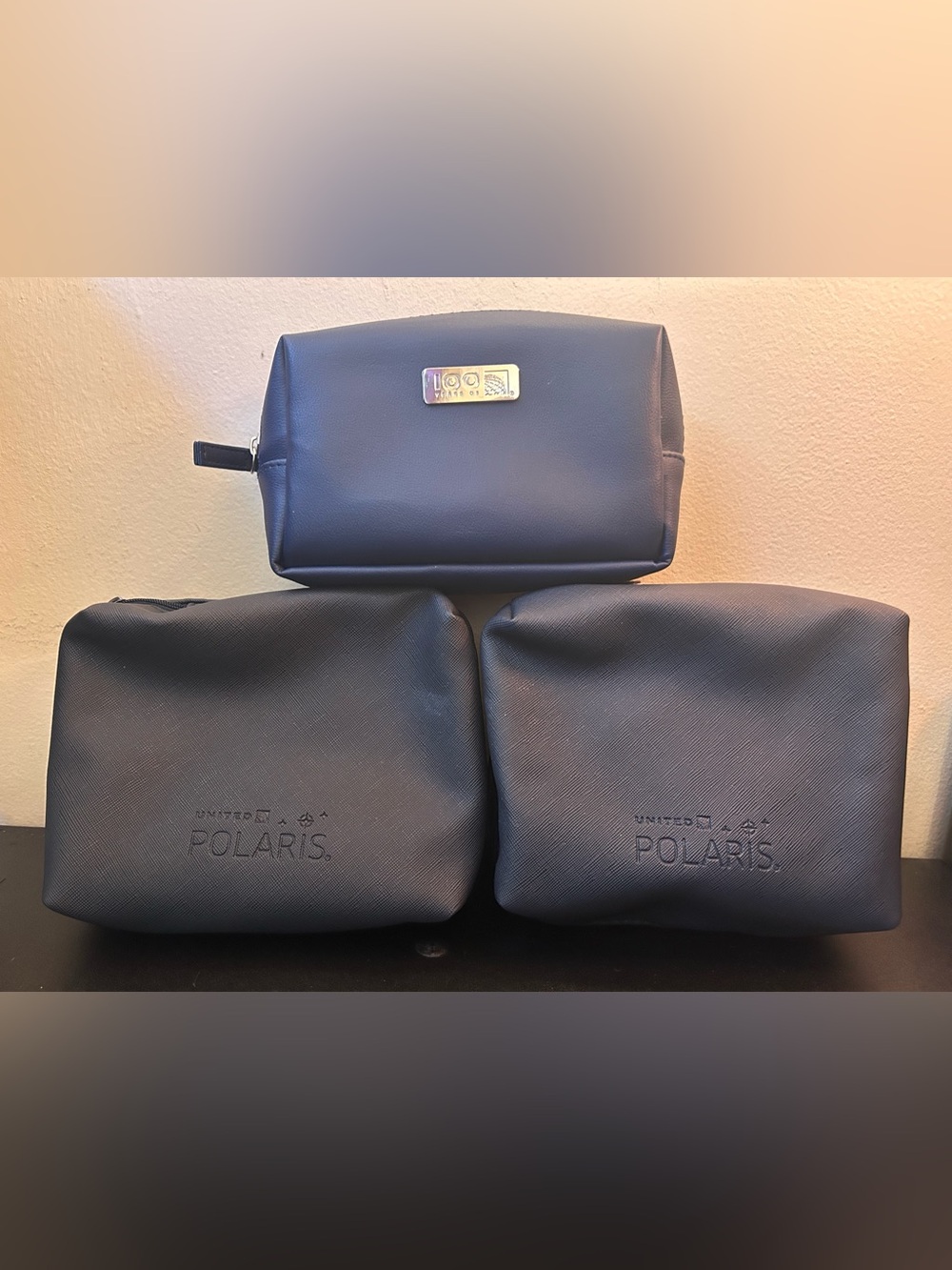 United Airlines Amenity Bags Polaris 100 Years Travel Pouch Toiletries Case Only